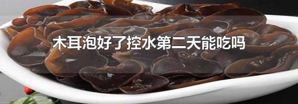 木耳泡好了控水第二天能吃吗