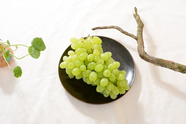 青提子的功效与作用 青提子的食用禁忌