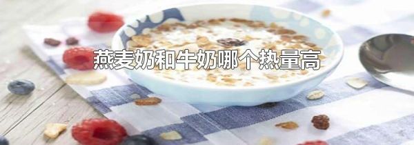 燕麦奶和牛奶哪个热量高