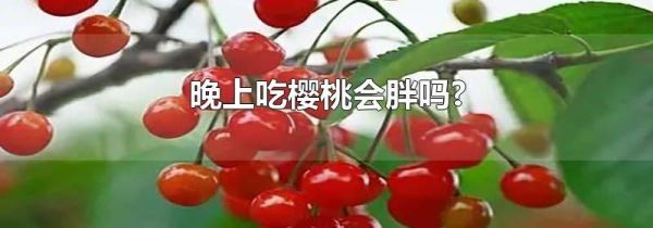 晚上吃樱桃会胖吗?