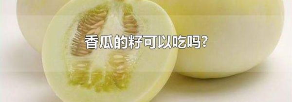 香瓜的籽可以吃吗?
