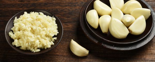 蚊子讨厌什么味道或者东西 蚊子最怕什么味道
