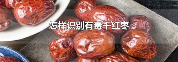 怎样识别有毒干红枣