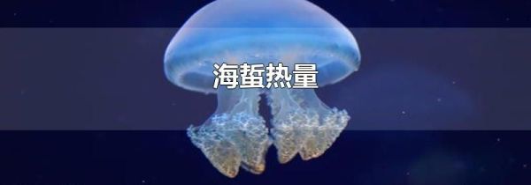 海蜇热量