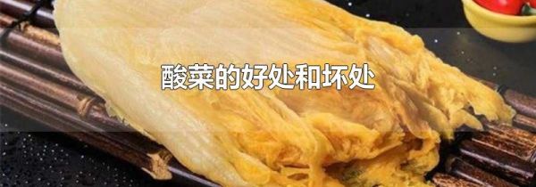 酸菜的好处和坏处