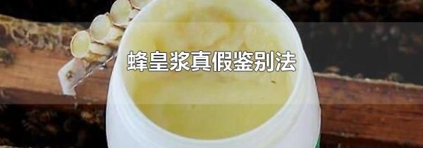 蜂皇浆真假鉴别法