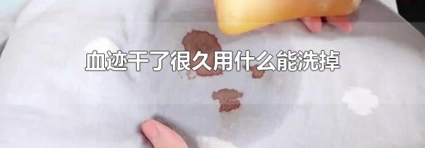 血迹干了很久用什么能洗掉