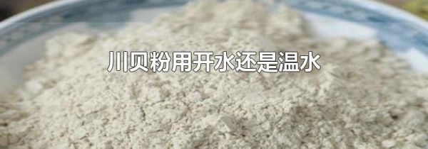 川贝粉用开水还是温水