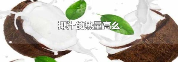 椰汁的热量高么