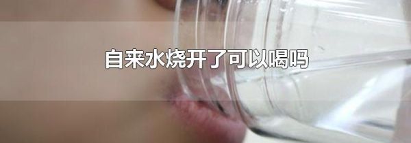 自来水烧开了可以喝吗