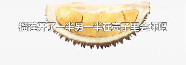 榴莲开了一半另一半在壳子里会坏吗