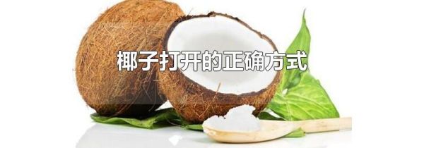 椰子打开的正确方式