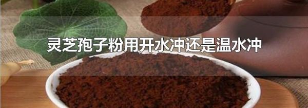 灵芝孢子粉用开水冲还是温水冲