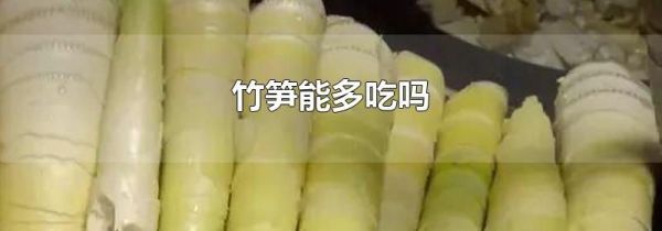 竹笋能多吃吗
