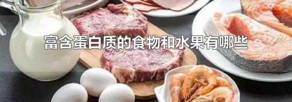 富含蛋白质的食物和水果有哪些