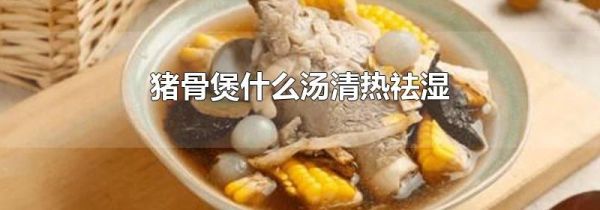 猪骨煲什么汤清热祛湿
