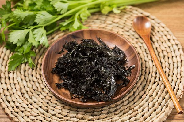 紫菜是怎么长出来的 紫菜是怎么种出来的