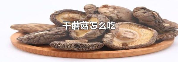 干蘑菇怎么吃