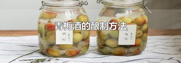 青梅酒的酿制方法