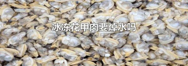 冰冻花甲肉要焯水吗