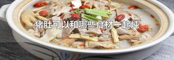 猪肚可以和哪些食材一起炖