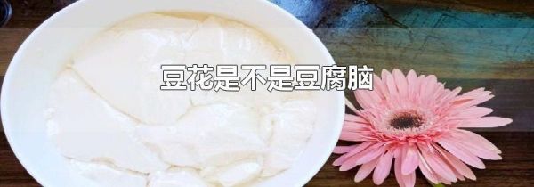 豆花是不是豆腐脑