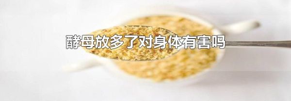 酵母放多了对身体有害吗