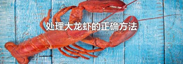 处理大龙虾的正确方法