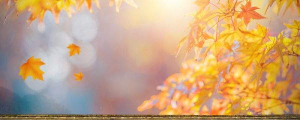 立秋吃的食物 立秋的简介