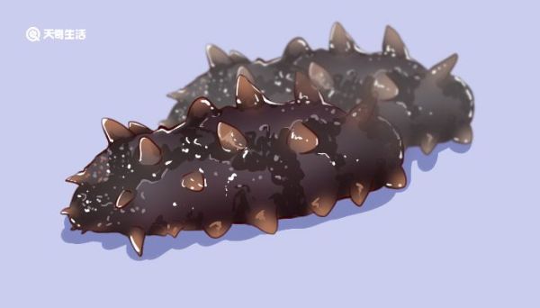 假海参和真海参的区别 假海参和真海参的区别是什么