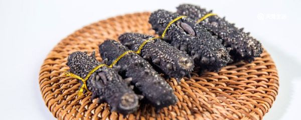 假海参和真海参的区别 假海参和真海参的区别是什么