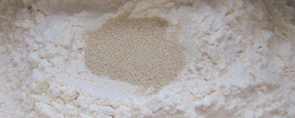 酵母温度多少合适 酵母适合多少温度