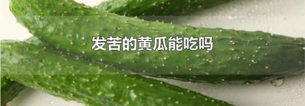 发苦的黄瓜能吃吗