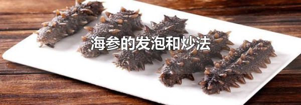 海参的发泡和炒法