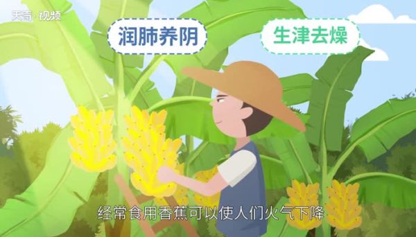 什么水果去火 清火的水果