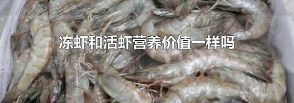 冻虾和活虾营养价值一样吗