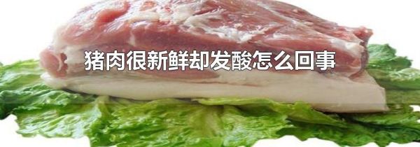 猪肉很新鲜却发酸怎么回事
