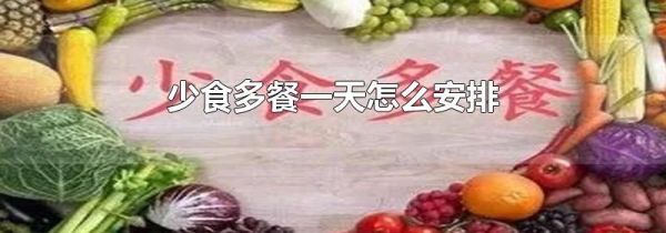 少食多餐一天怎么安排
