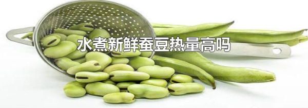 水煮新鲜蚕豆热量高吗