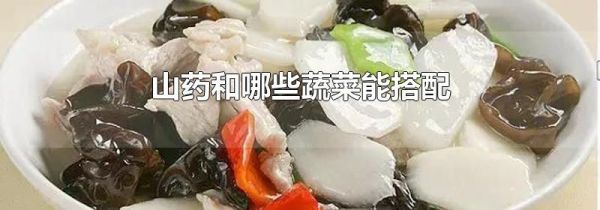 山药和哪些蔬菜能搭配