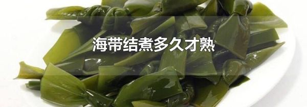 海带结煮多久才熟