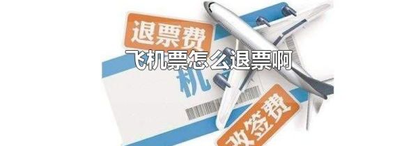 飞机票怎么退票啊