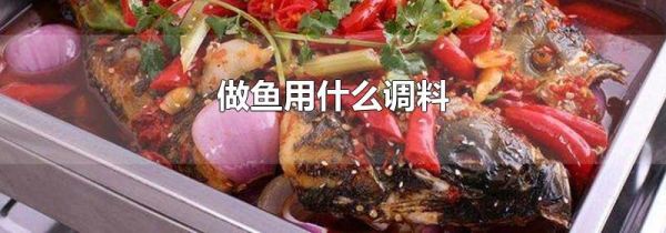 做鱼用什么调料