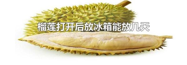 榴莲打开后放冰箱能放几天