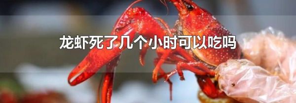 龙虾死了几个小时可以吃吗