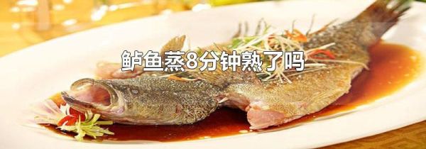 鲈鱼蒸8分钟熟了吗