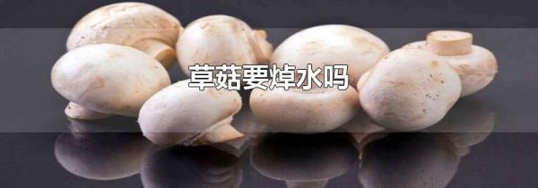 草菇要焯水吗