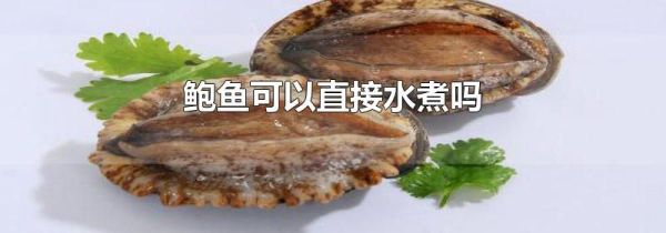 鲍鱼可以直接水煮吗