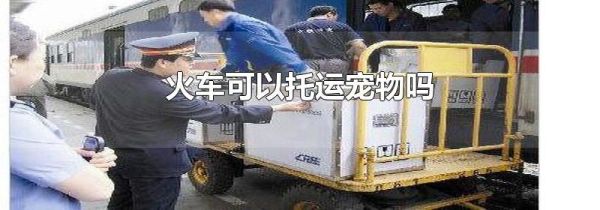 火车可以托运宠物吗