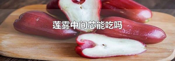莲雾中间芯能吃吗